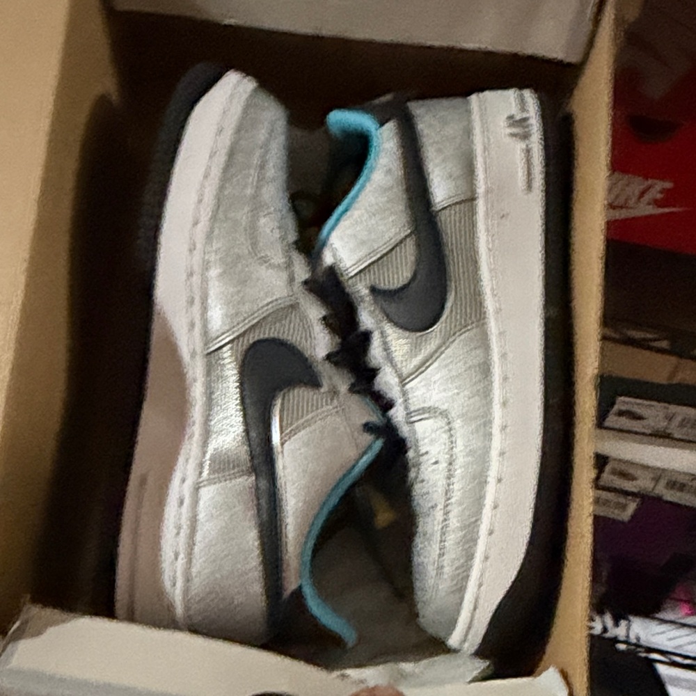 Nike Metallic Silver Low-Top Sneakers with Black Swoosh and Teal Liner
